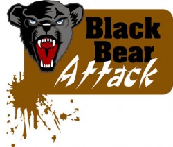BlackBearAttack