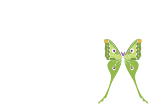 LunaRunLogo2019